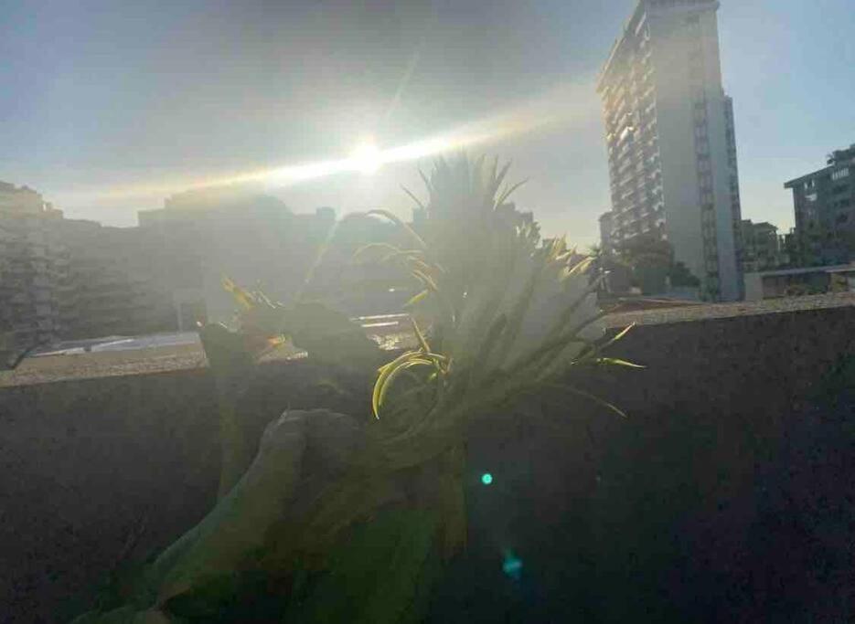 Fresh Tropical Colonial Style Walk-Up- Rooftop Terrace- Beach View San Juan Exteriör bild